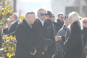 Šaban Šaulić godišnjica pomen