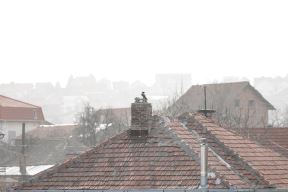 Zagađenje vazduha u Beogradu: Duva košava, saobraćaja nema, evo kako!