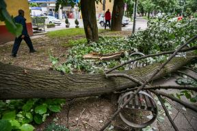 Vetar obarao stabla u Banjaluci