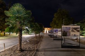 Palme Beograd Kalemegdan Cvijeta Zuzorić fotografije