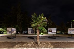 Palme Beograd Kalemegdan Cvijeta Zuzorić fotografije