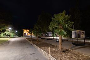 Palme Beograd Kalemegdan Cvijeta Zuzorić fotografije