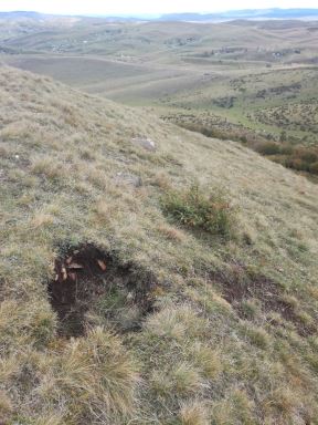 pestersko polje arheolosko nalaziste lopovi