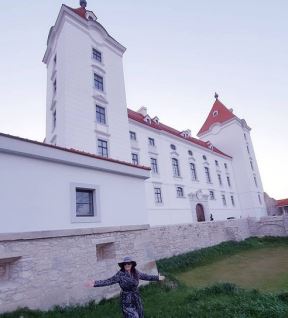 dragana mirkovic dvorac novogodisnja dekoracija instagram foto