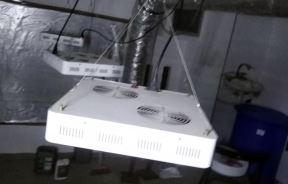 uhapsen diler u beogradu laboratorija droge