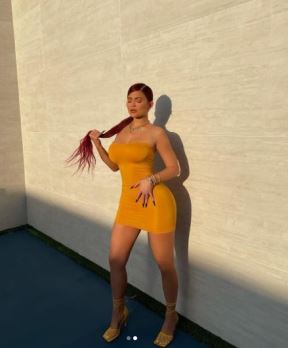 kajli dzener bikini instagram video