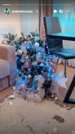 ana kokic jelka kicenje haos u kuci 