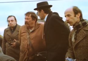 Koji glumac je rođeni brat Pavla Vuisića?