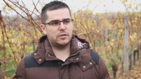 zarada u srbiji vinograd topola vinogradarstvo posao zarada