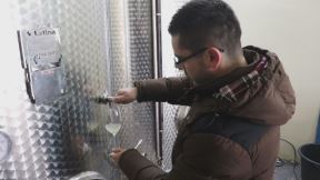 zarada u srbiji vinograd topola vinogradarstvo posao zarada