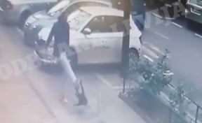 beograd slavija muskarac sutnuo psa stene napad video snimak
