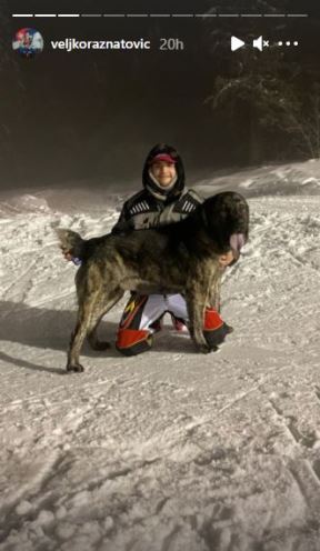 veljko raznatovic bogdana sin zeljko zimovanje