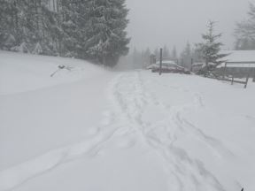 pester sjenica sneg blokada putevi mestani konj prevozno sredstvo