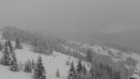 planina golija tursiti zlatibor skijalista u srbiji