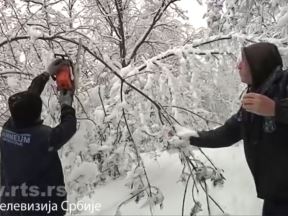 srbija zima planine sneg sela bez struje pomaze vojska 