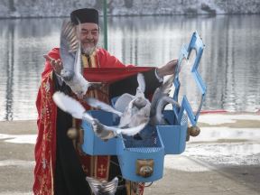 plivanje za casni krst bogojavljenje ada ciganlija