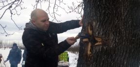 rodjendan zagorica topola sveto drvo predrag mirkovic