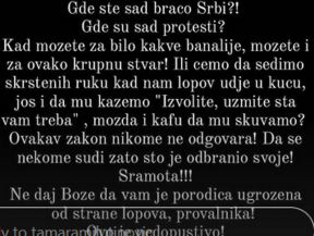 tamara milutinovic hranislav dimitrijevic komentar