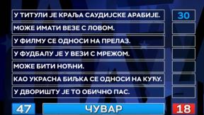 sinisa vulic student istorije slagalica pobeda