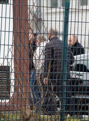 vladimir vuletic potpredsednik fk partizan saslusanje sbpok velja nevolja
