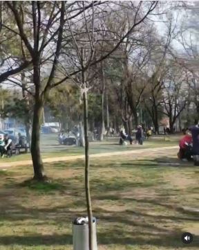 beograd korona virus mere izletista puna rostiljanje 