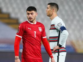 nemanja radonjic transfer benfika