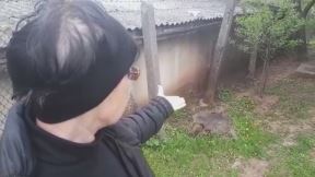 topola cvece okopavale bastu pronadjena bomba foto