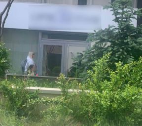 djole vesna djogani komsije  