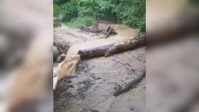srbija nevreme odnelo put bujica video snimak 