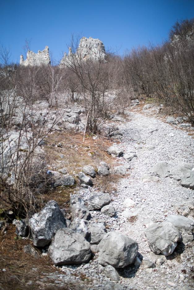 vampir sava savanovic svadja dva sela 