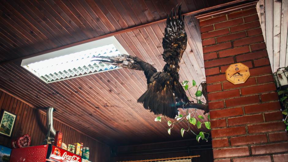 vampir sava savanovic svadja dva sela 