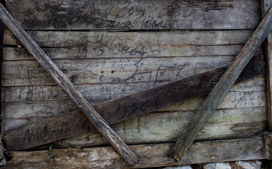 vampir sava savanovic svadja dva sela 