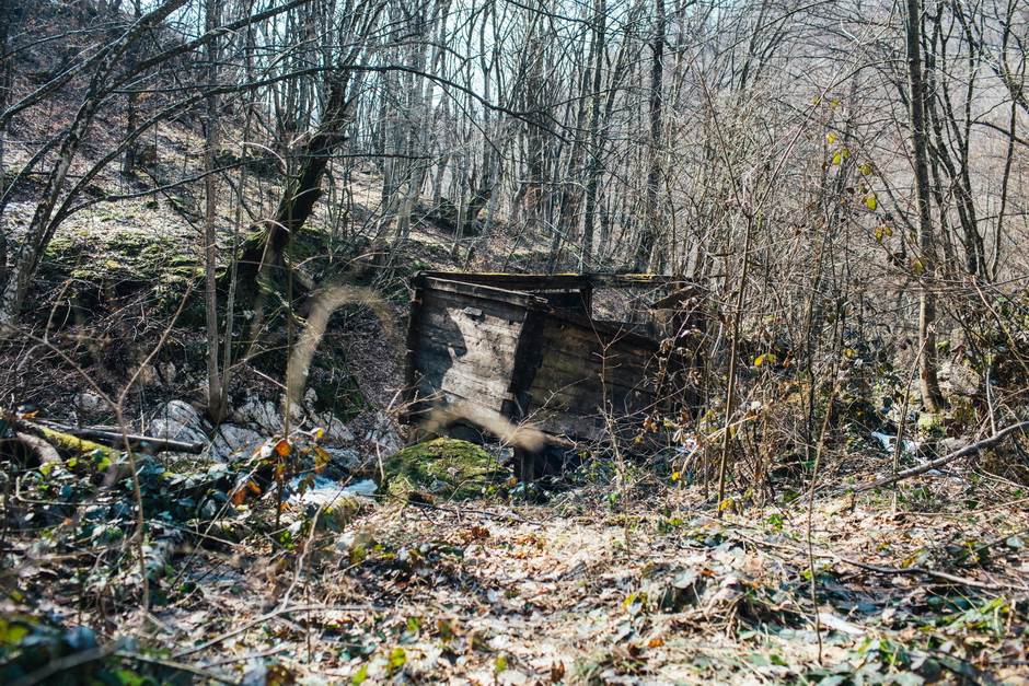 vampir sava savanovic svadja dva sela 