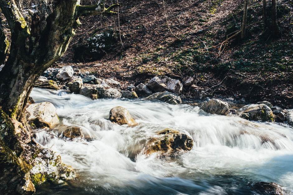 vampir sava savanovic svadja dva sela 