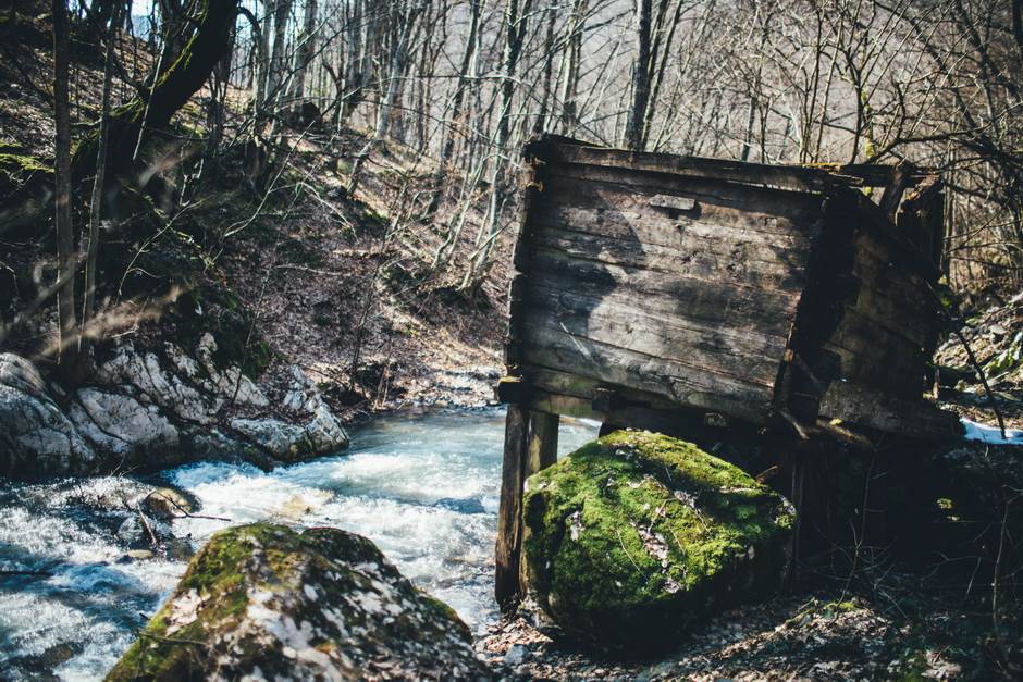 vampir sava savanovic svadja dva sela 