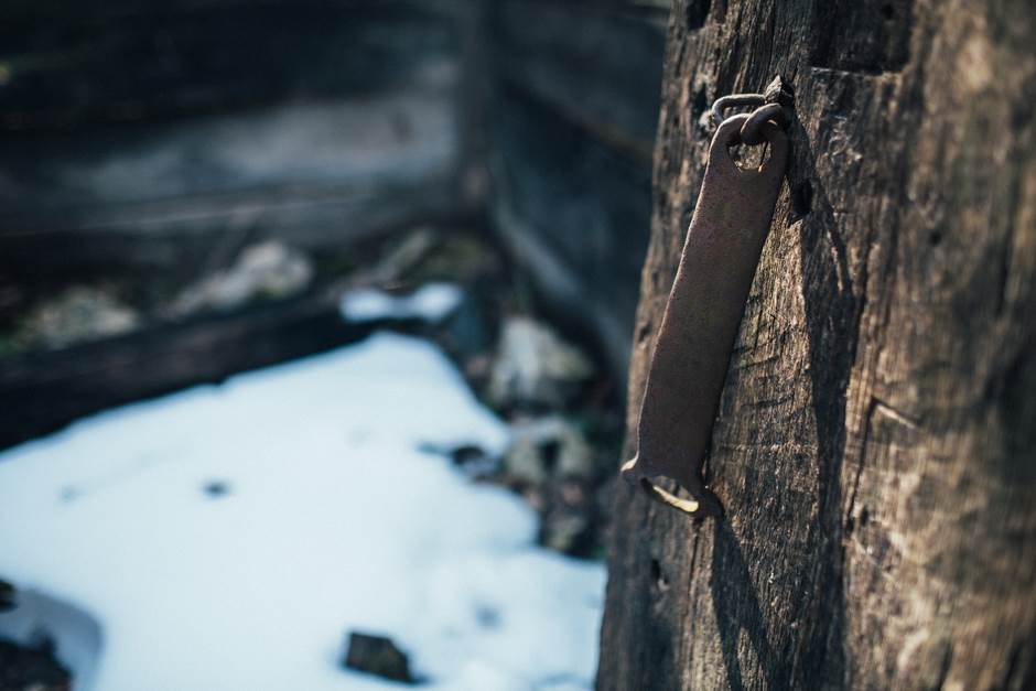 vampir sava savanovic svadja dva sela 