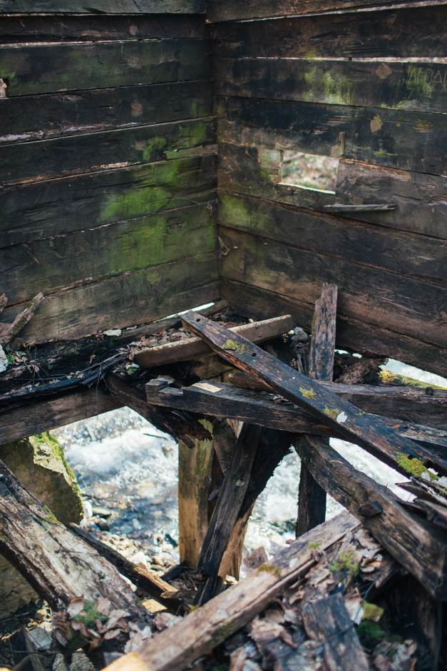 vampir sava savanovic svadja dva sela 