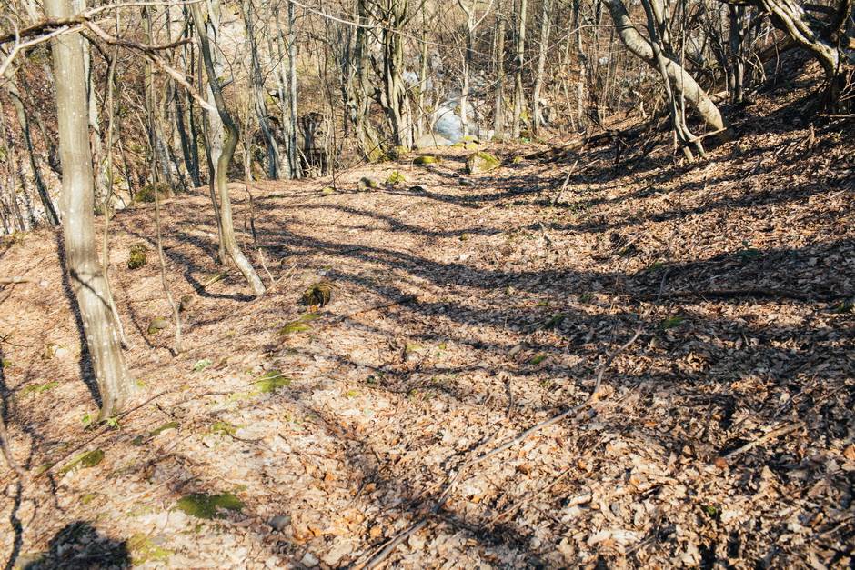 vampir sava savanovic svadja dva sela 