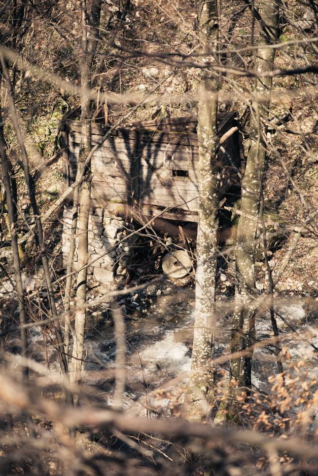 vampir sava savanovic svadja dva sela 