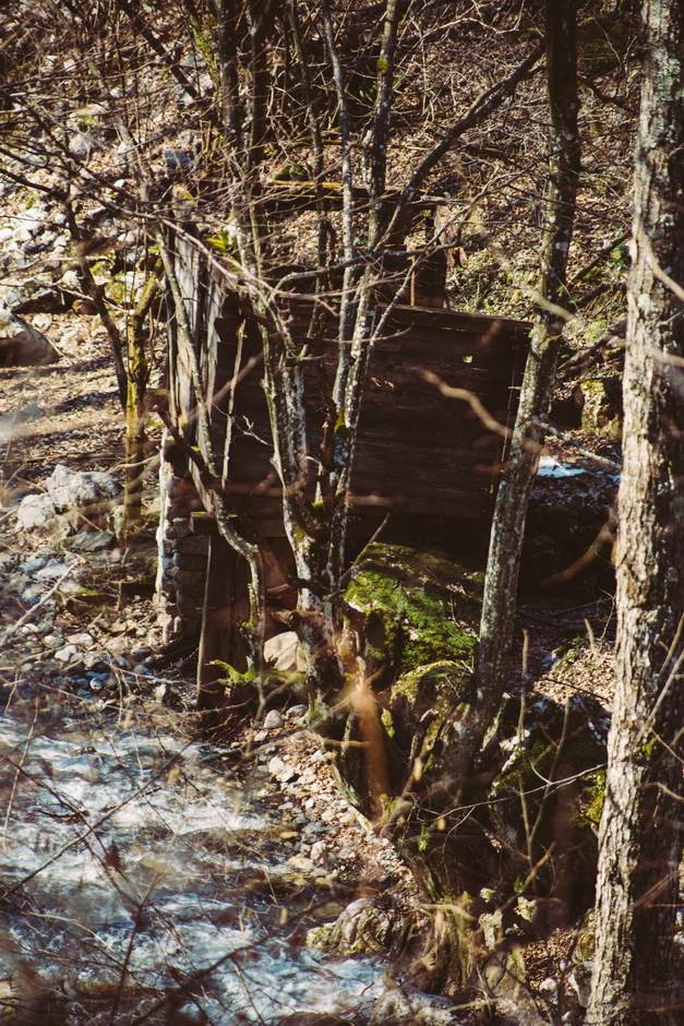 vampir sava savanovic svadja dva sela 