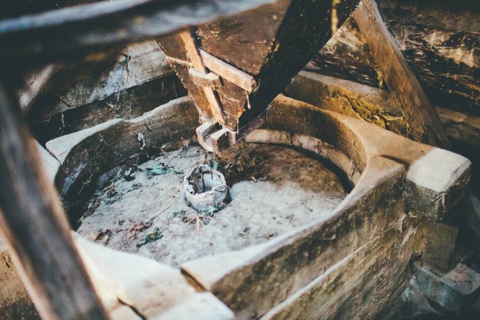 vampir sava savanovic svadja dva sela 