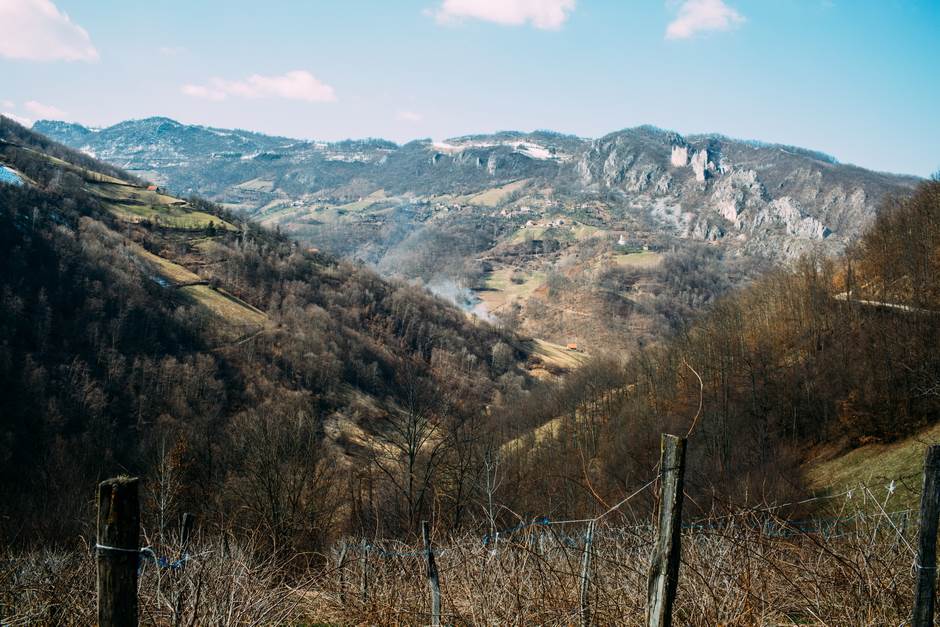 vampir sava savanovic svadja dva sela 