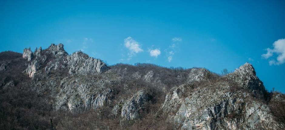 vampir sava savanovic svadja dva sela 