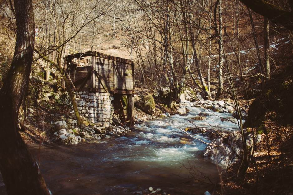 vampir sava savanovic svadja dva sela 