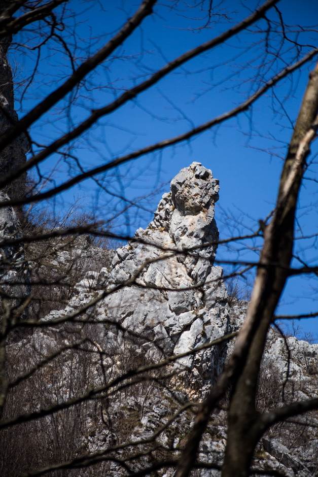 vampir sava savanovic svadja dva sela 