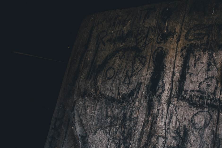 vampir sava savanovic svadja dva sela 