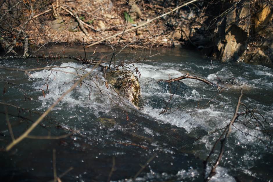 vampir sava savanovic svadja dva sela 