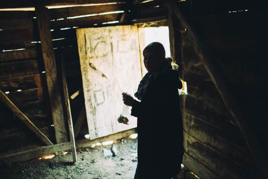 vampir sava savanovic svadja dva sela 