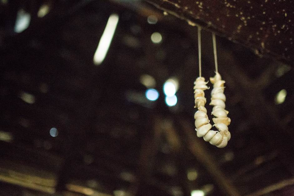 vampir sava savanovic svadja dva sela 