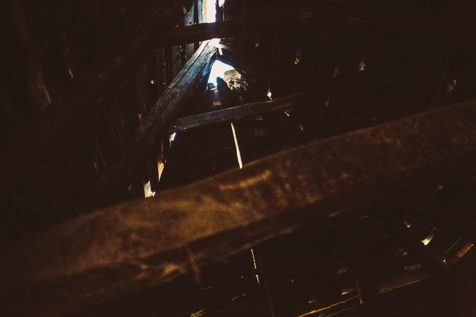 vampir sava savanovic svadja dva sela 